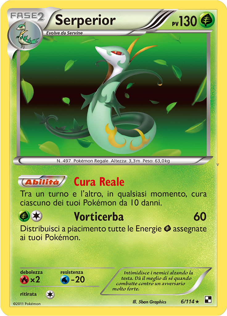 Card 6