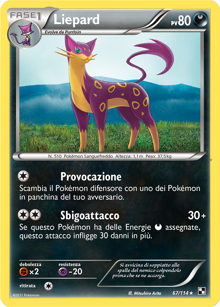 Card 67