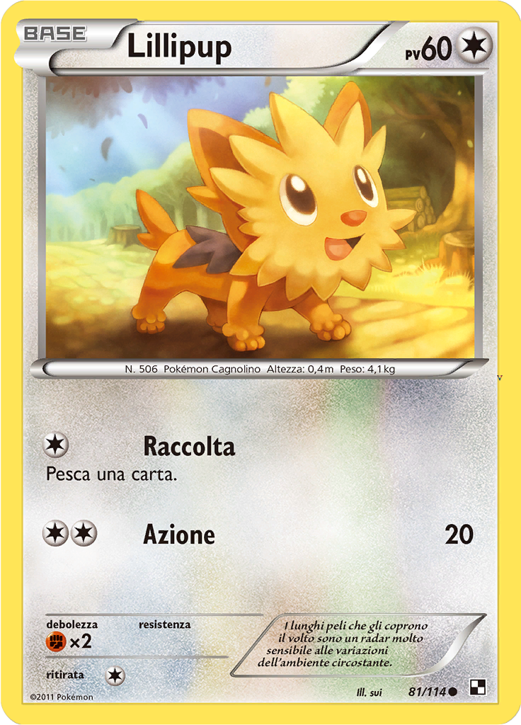 Card 81