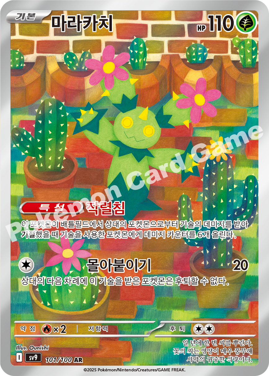 Card 101