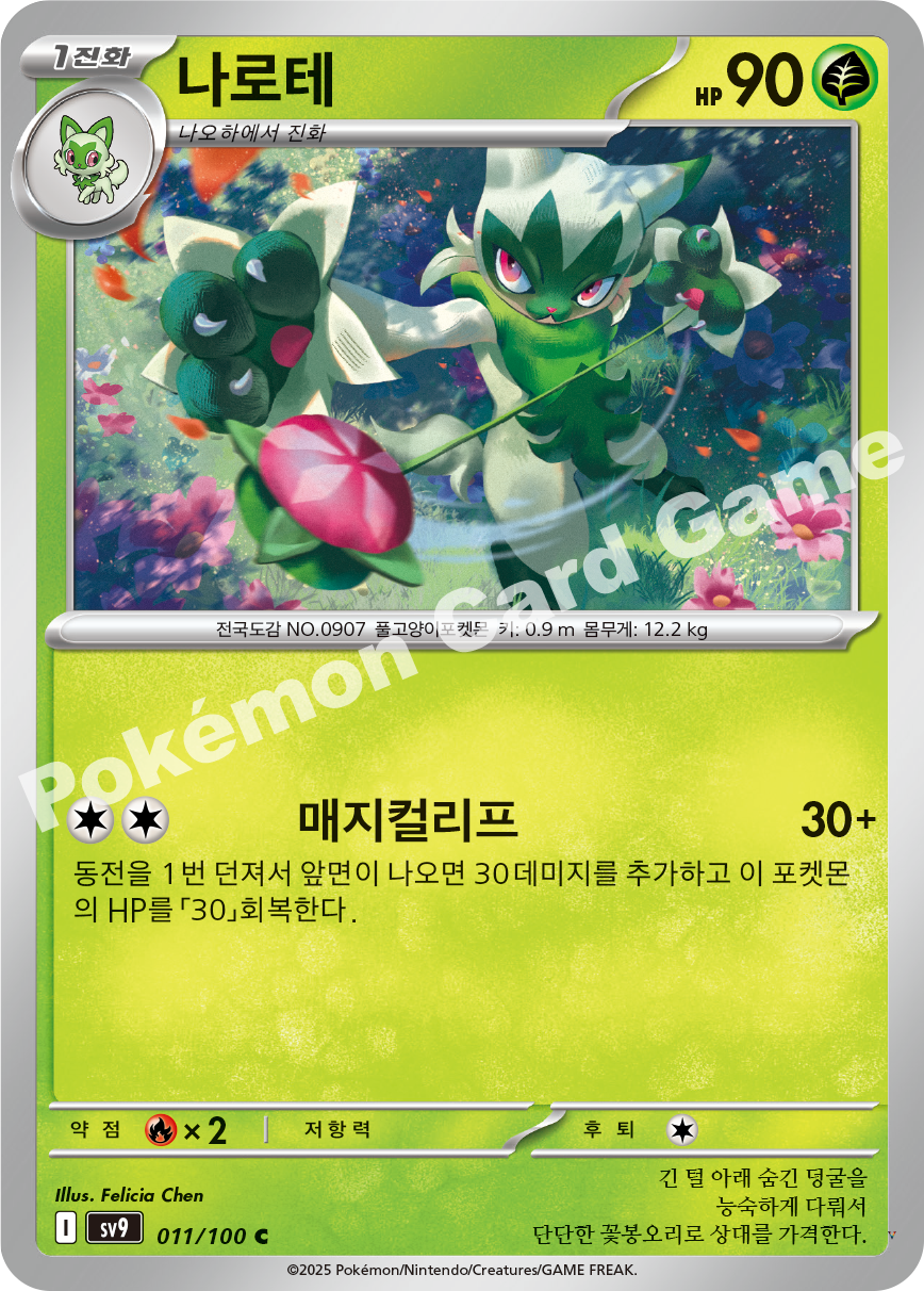 Card 11