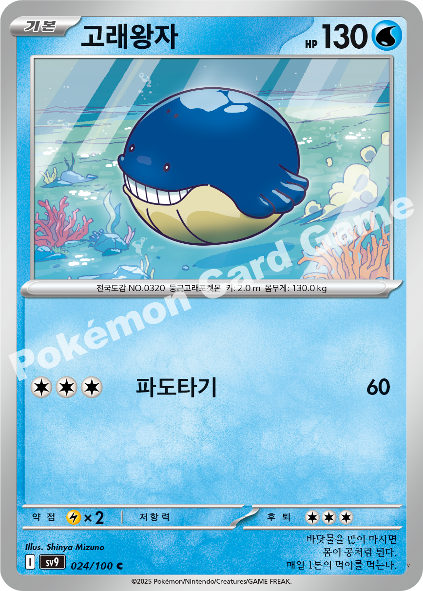 Card 24