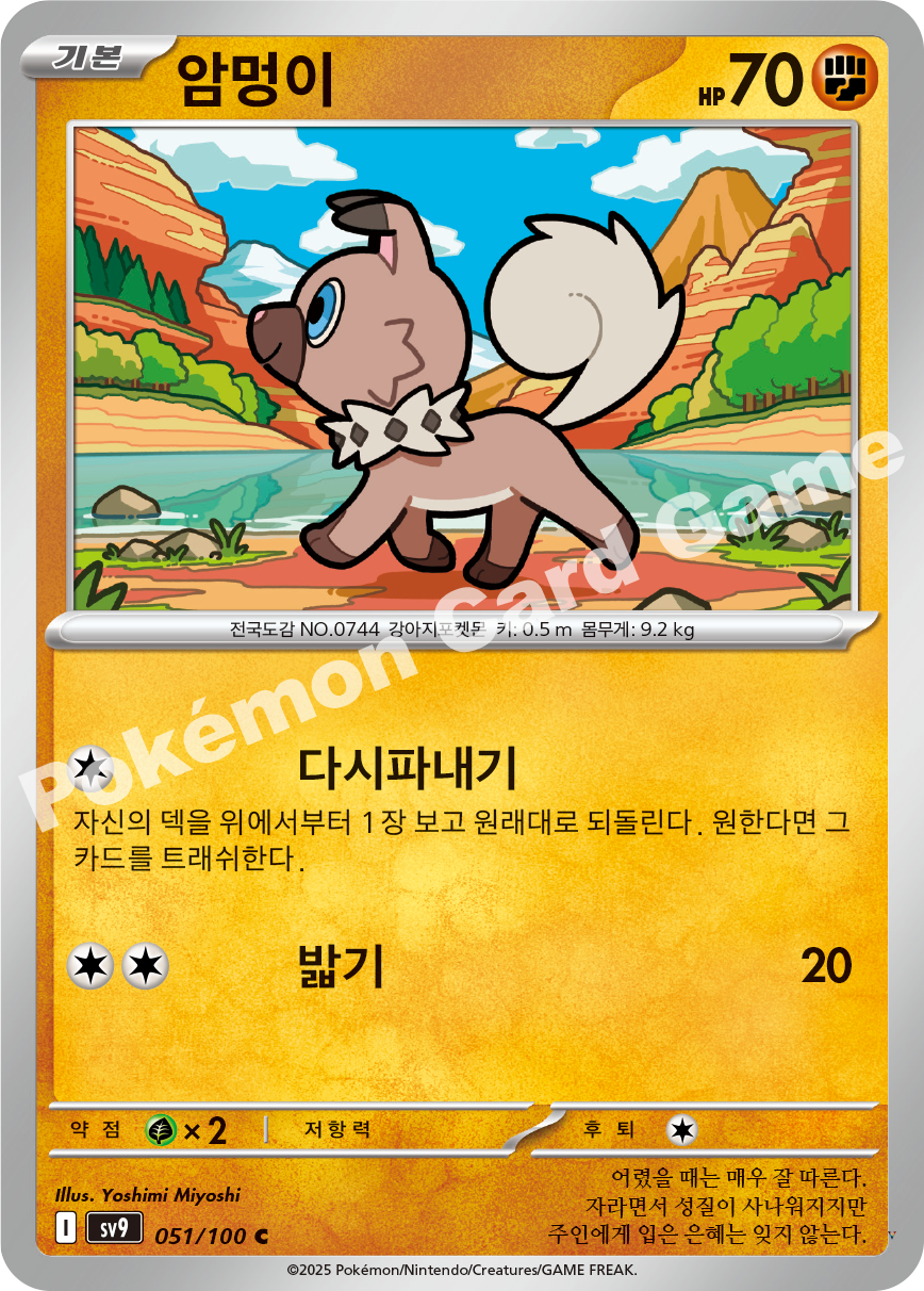 Card 51