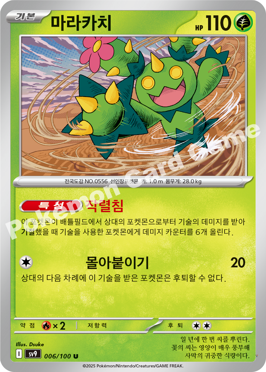 Card 6