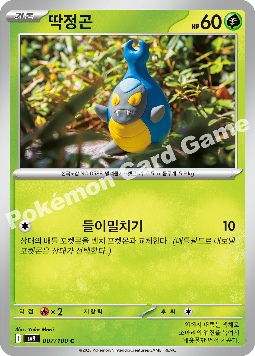 Card 7