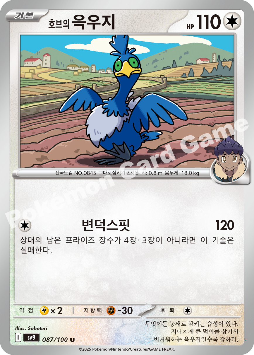 Card 87