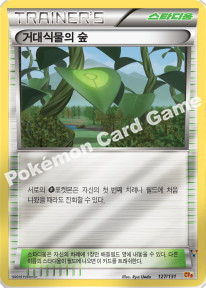 Card 127