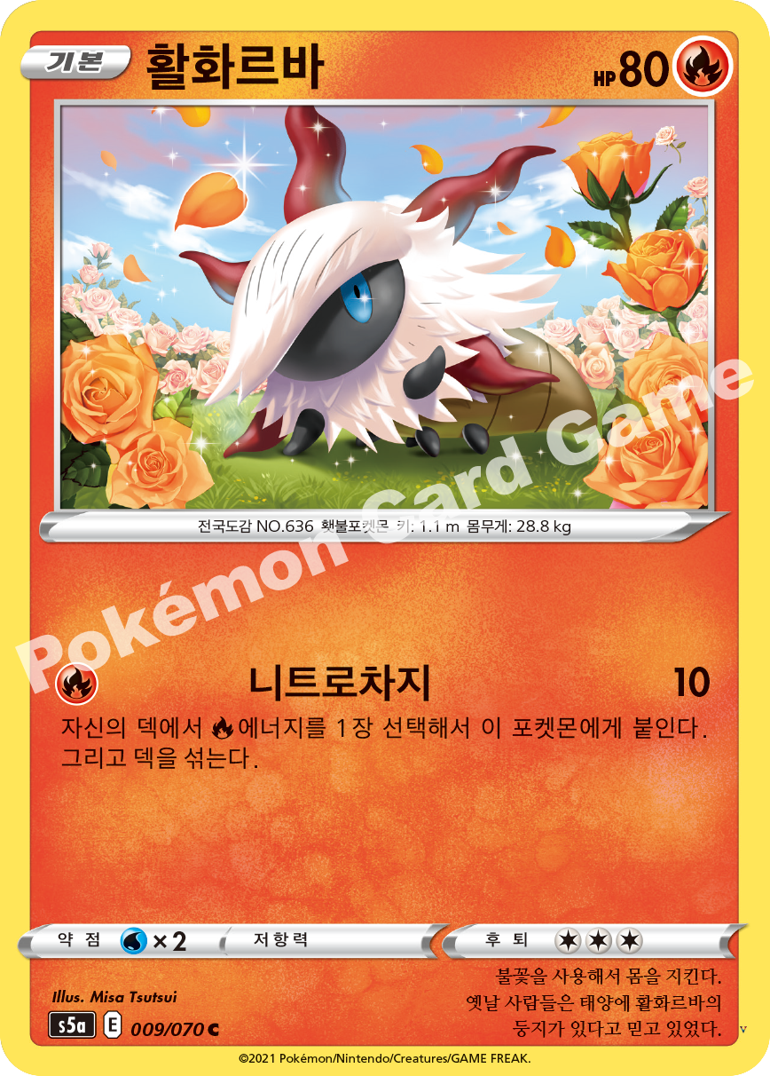 Card 9