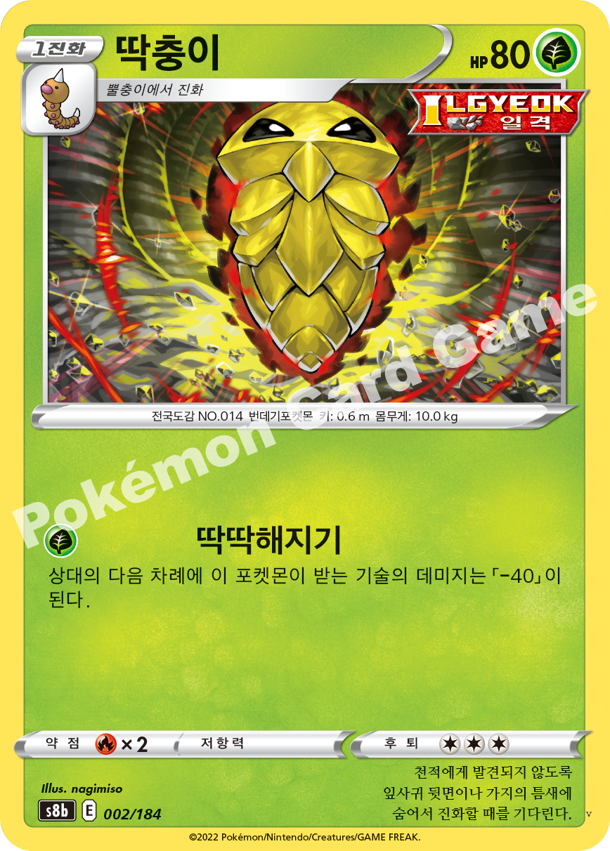 딱충이