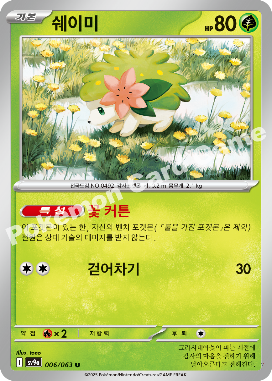 Card 6