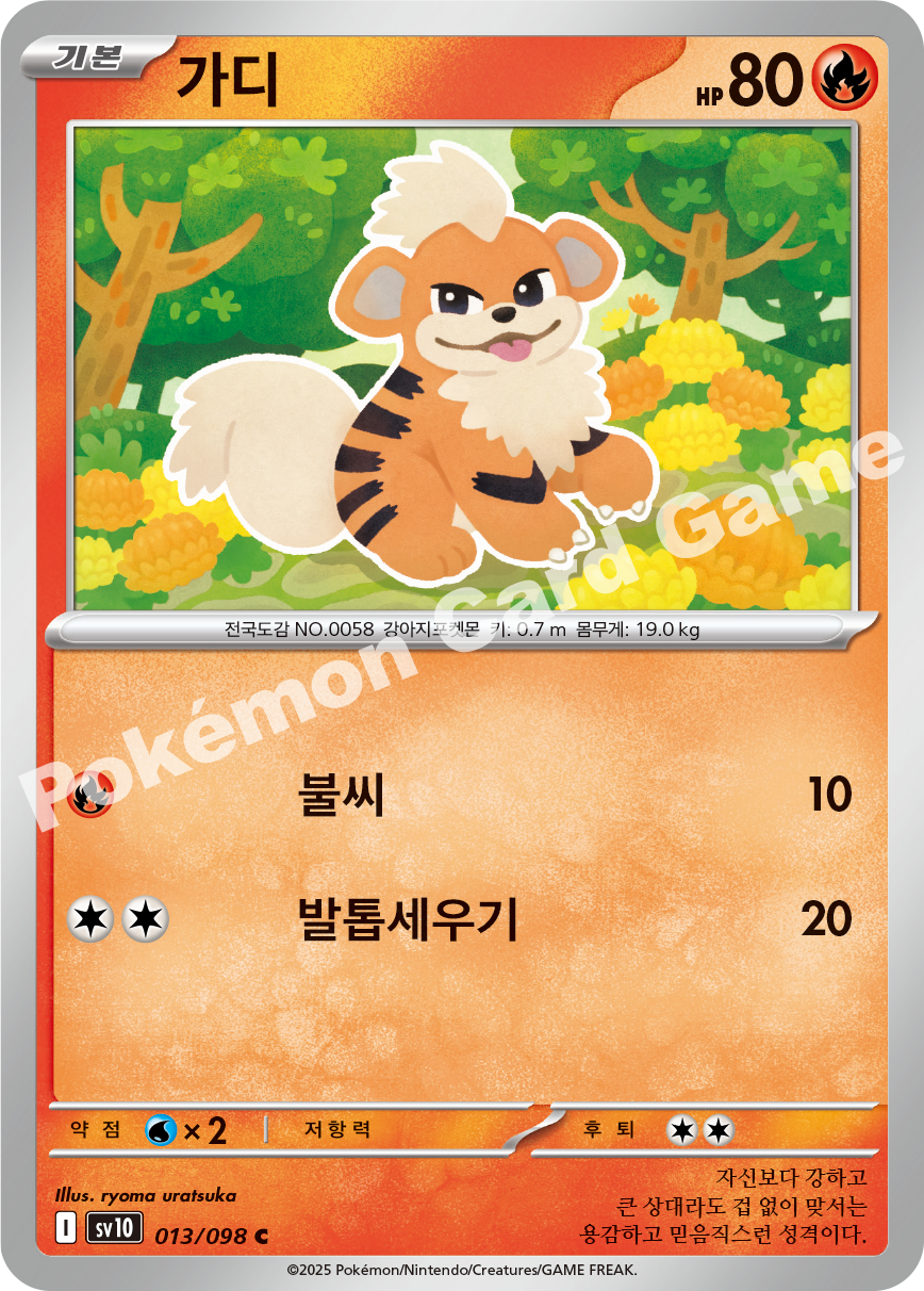 Card 13