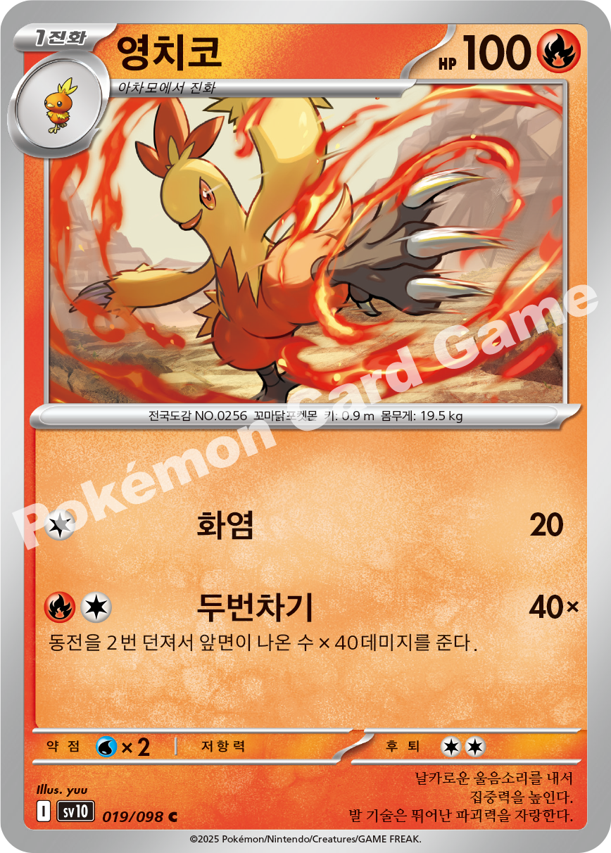 Card 19