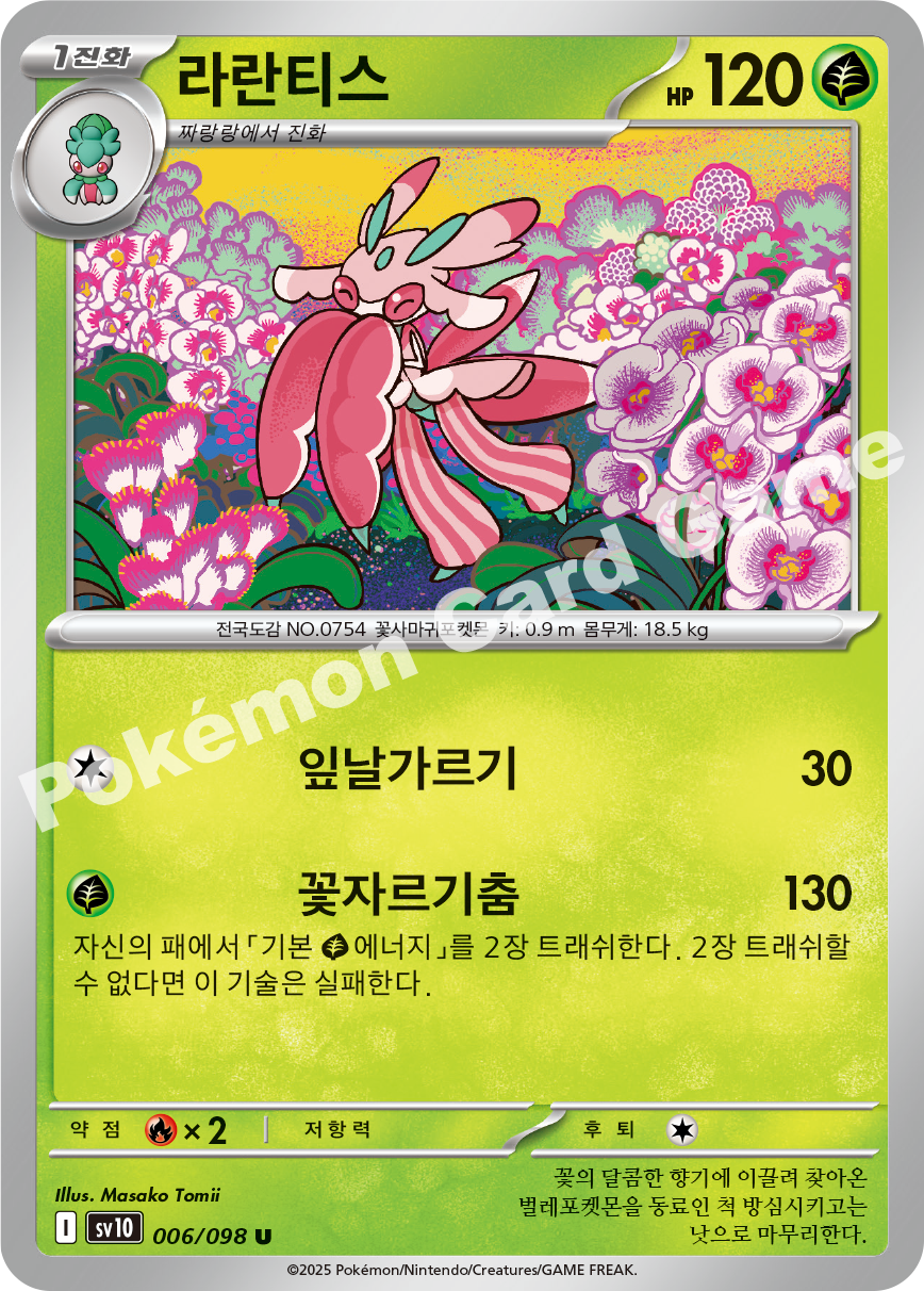 Card 6