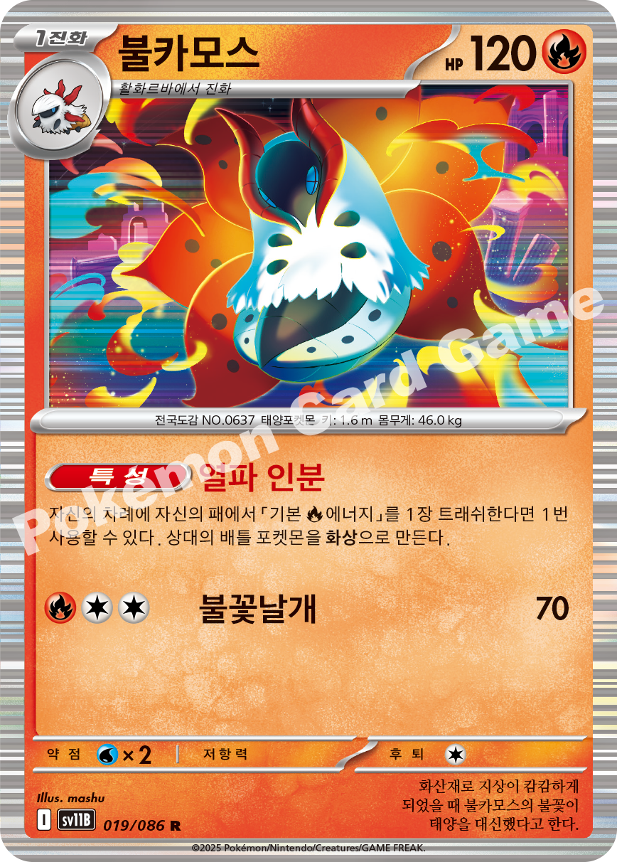 Card 19