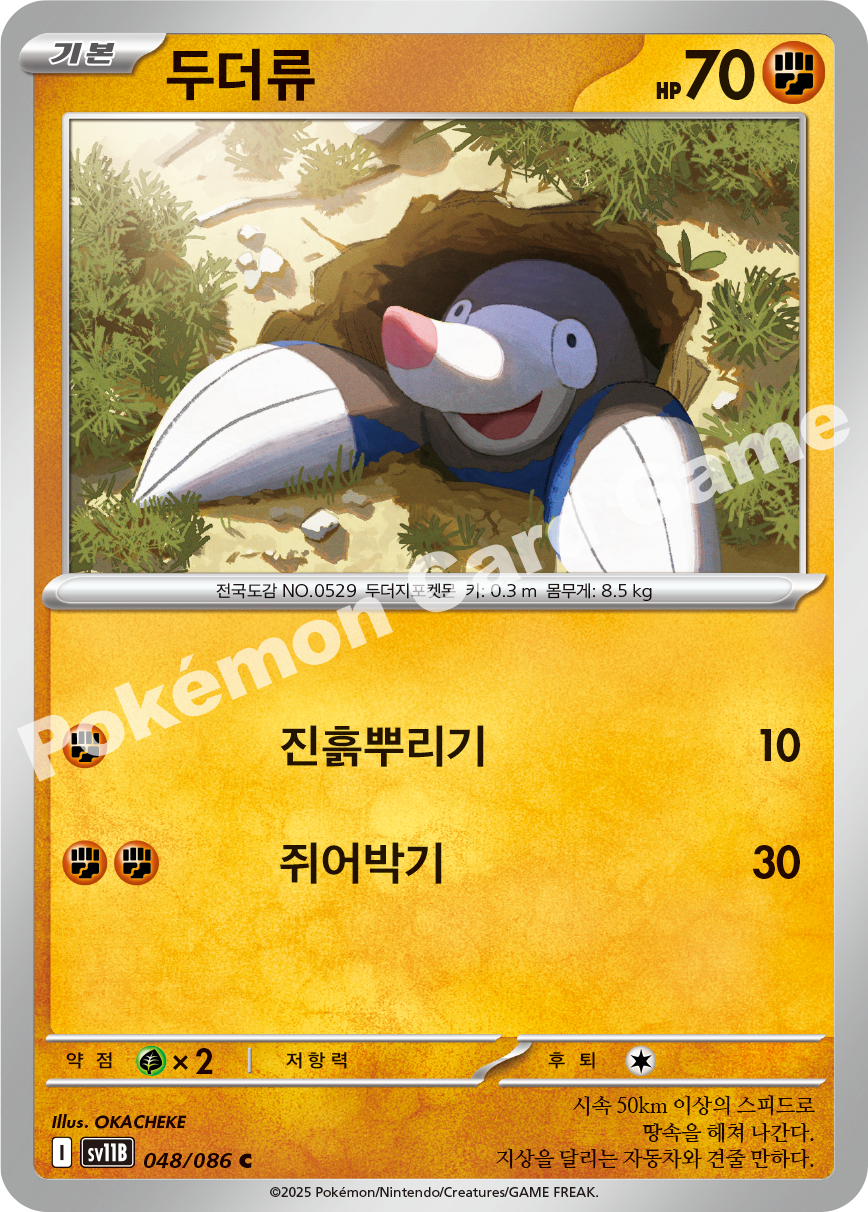 Card 48