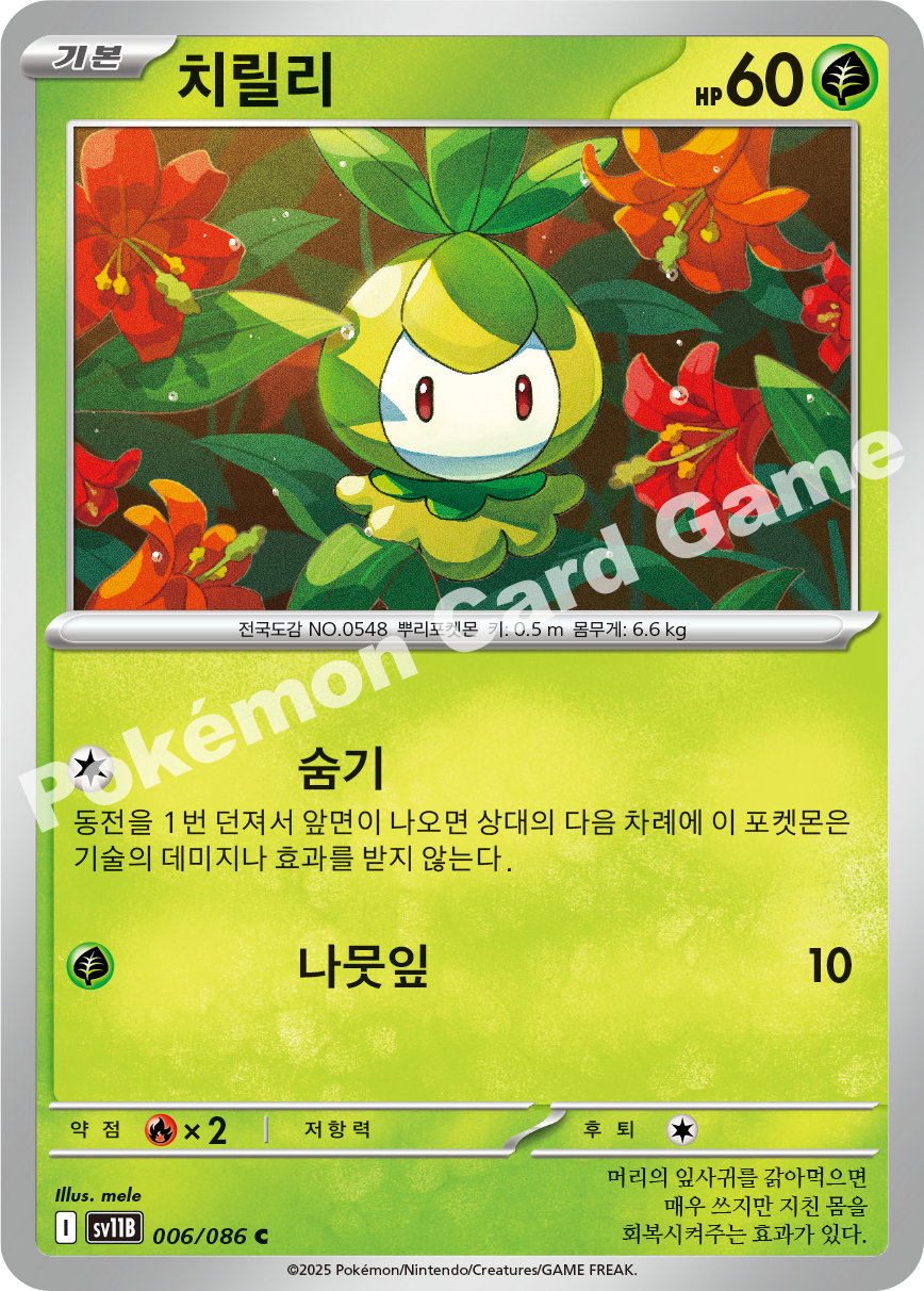 Card 6