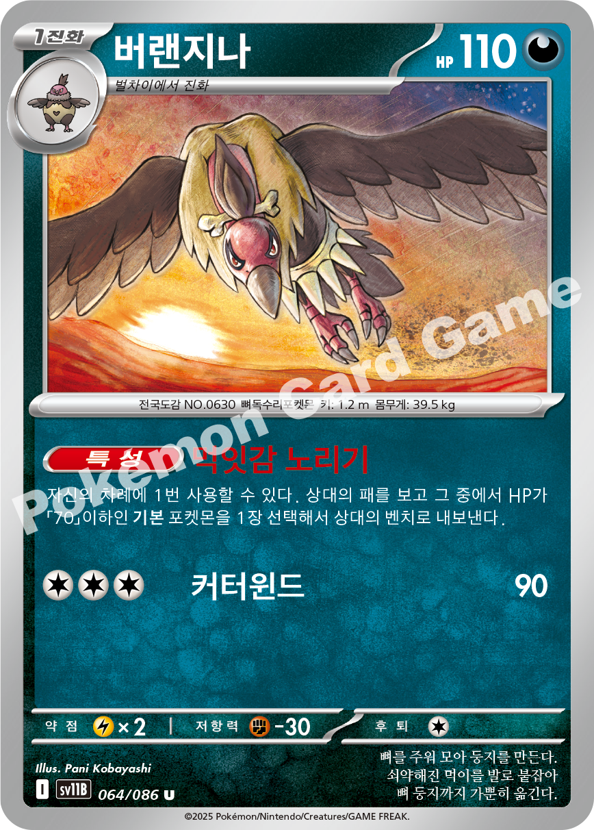 Card 64