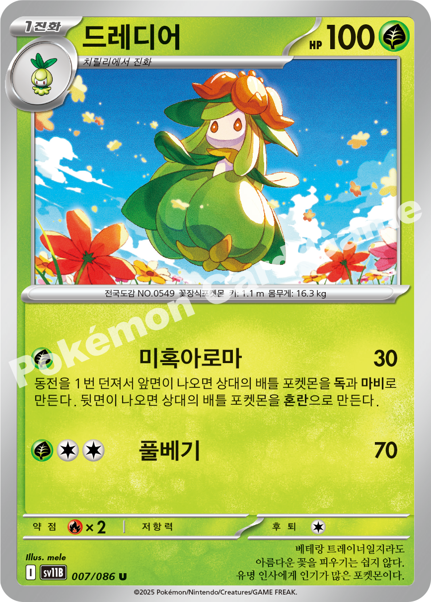 Card 7