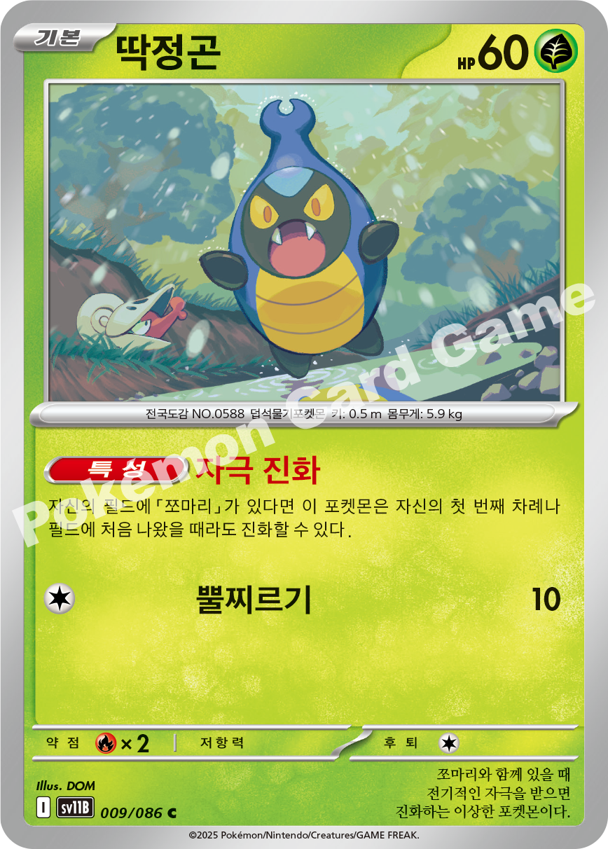 Card 9