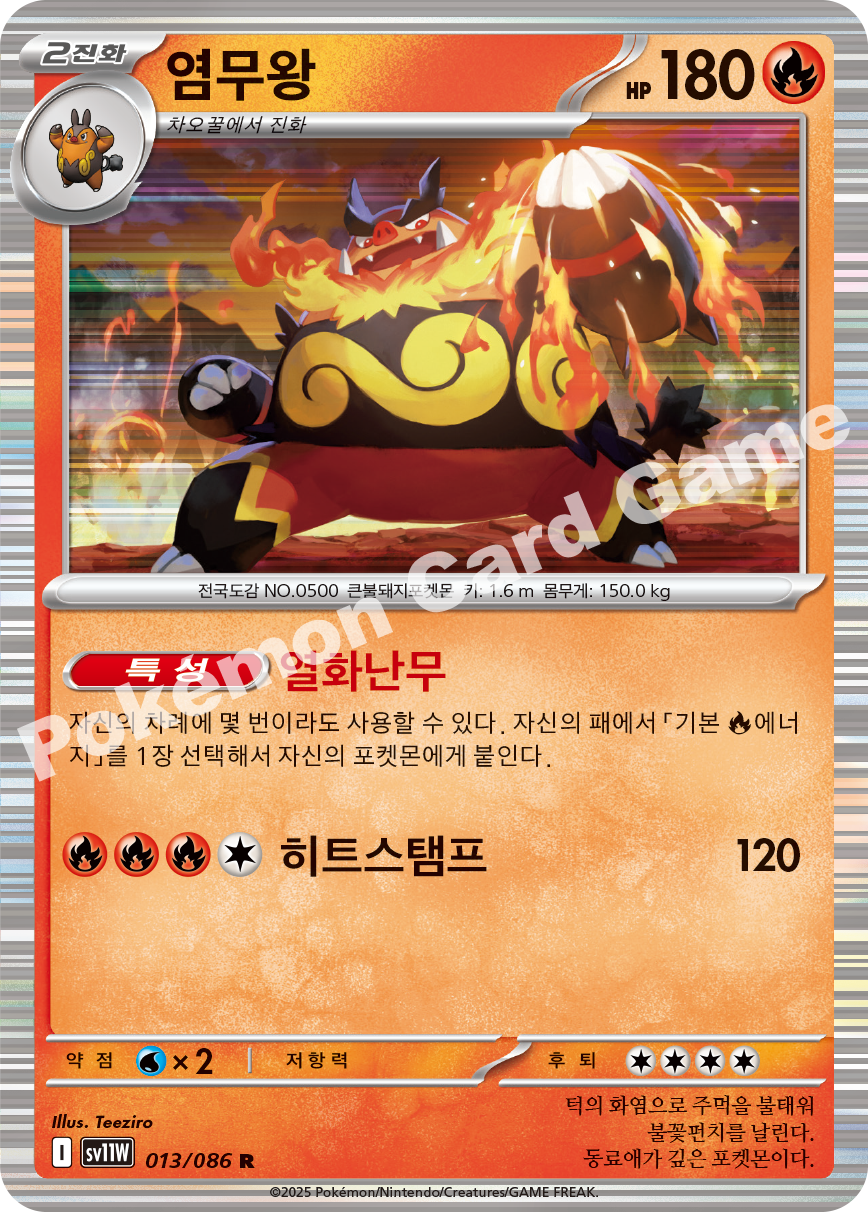 Card 13