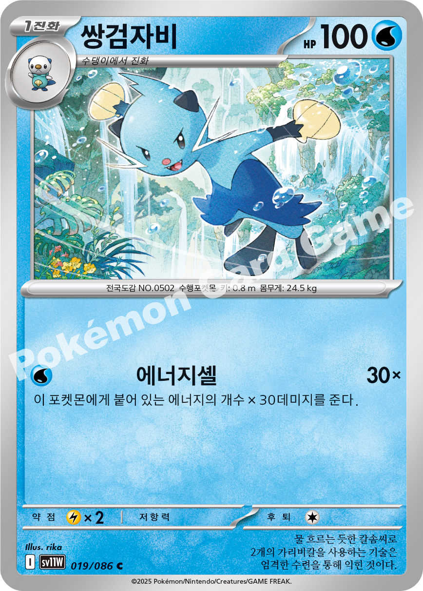 Card 19