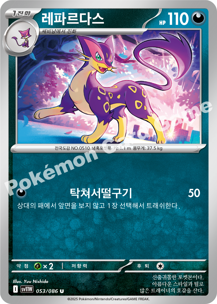 Card 53