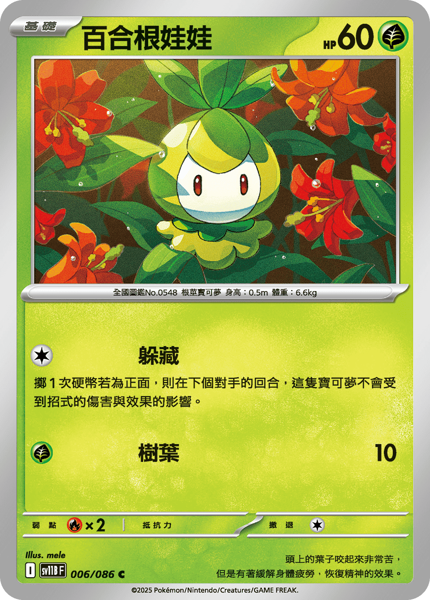Card 6