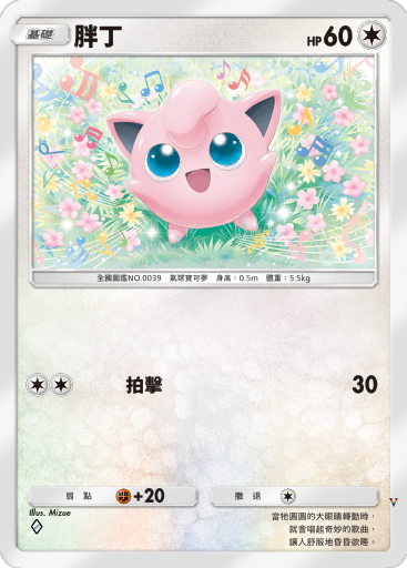 胖丁