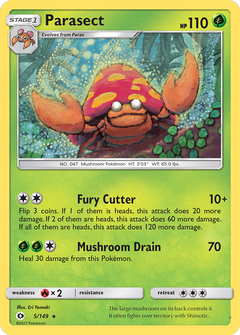 Card 5