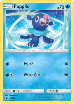 Card SM24