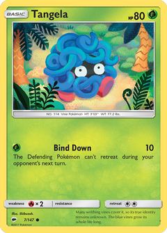 Card 7