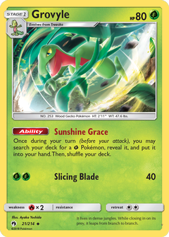Card 21