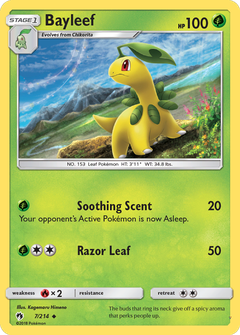 Card 7