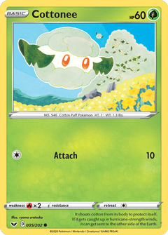 Card 5
