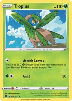 Card 5