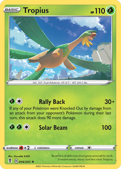 Card 6