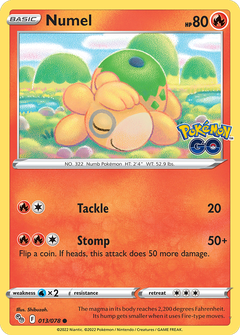 Card 13