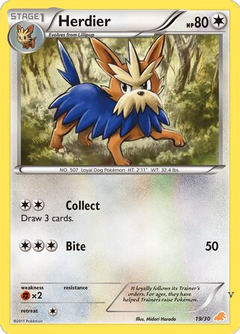 Card 19