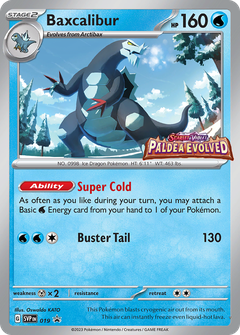 Card 19