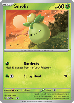 Card 23