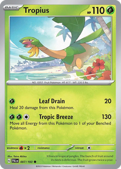 Card 7