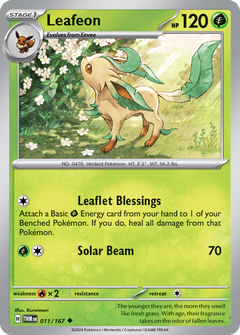 Card 11