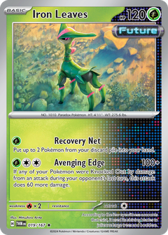 Card 19