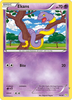 Card 16