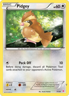 Card 11