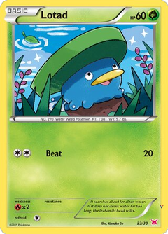 Card 23