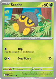Card 13
