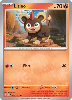 Card 23