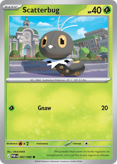 Card 7