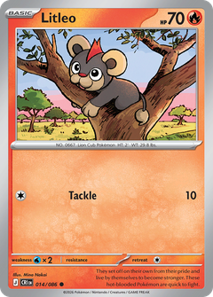 Card 14